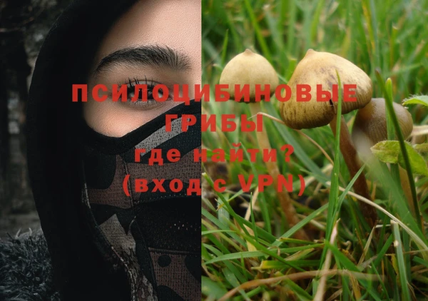 mdpv Бугульма