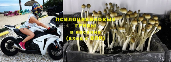 шишки Богородицк