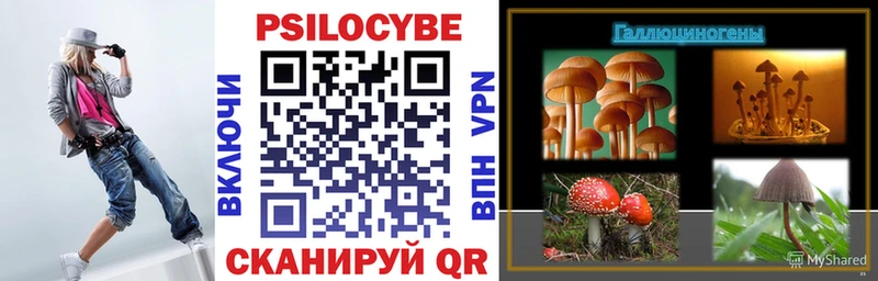 Галлюциногенные грибы Psilocybine cubensis  Острогожск 
